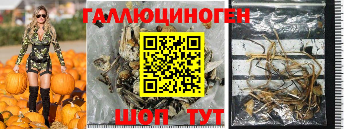 Семёнов  Псилоцибиновые грибы Psilocybine cubensis  Вход с VPN  Галлюциногенные грибы ЛСД 
