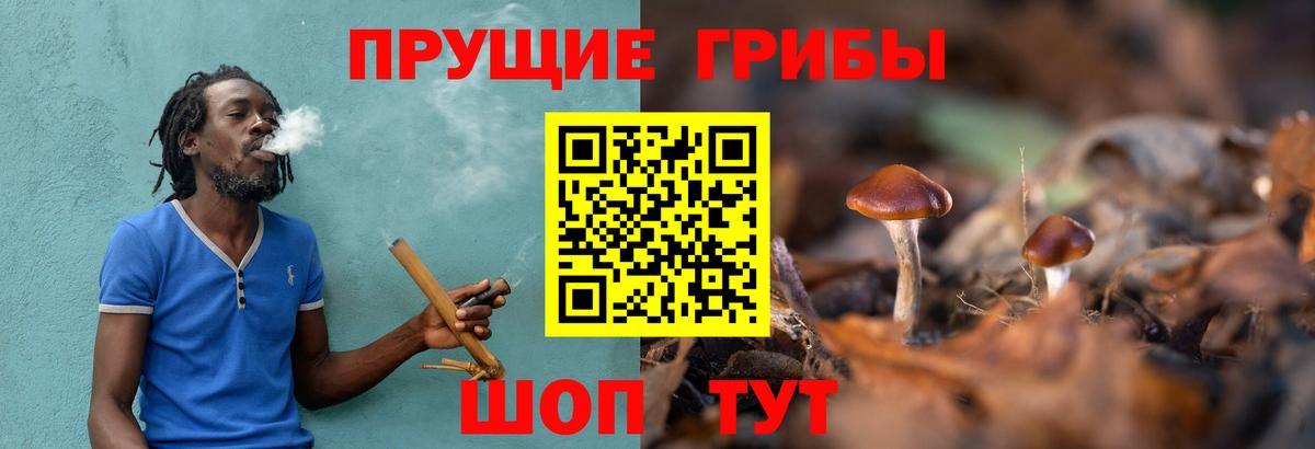 Псилоцибиновые грибы GOLDEN TEACHER Семёнов
